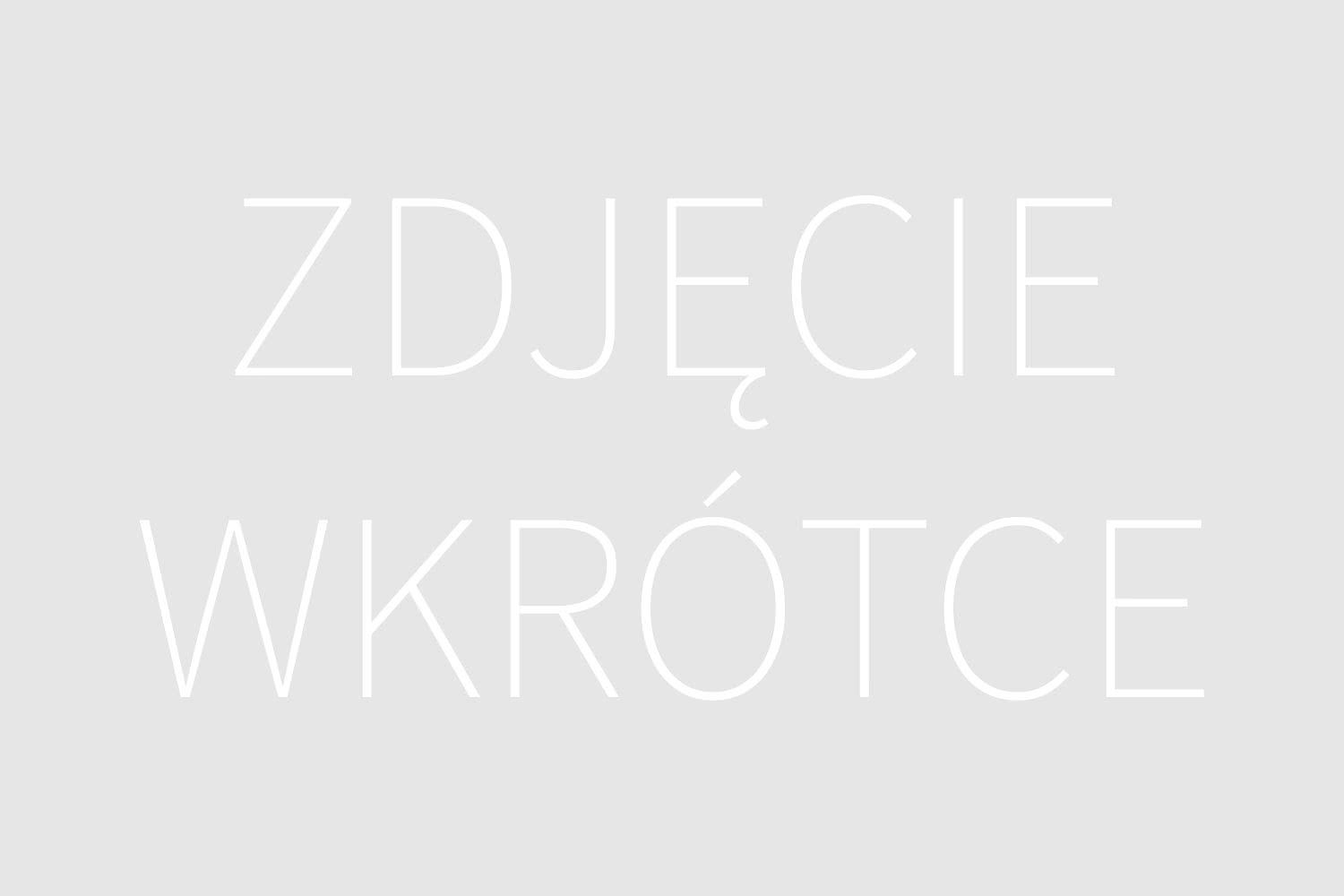 AI Generated Image - Aktualności - Software